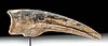 Ornithomimus Dinosaur Claw - Very Rare