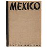Bruehl, Anton. Photographs of Mexico. New York, 1933. 25 fotograbados. Ed. de 1000 ejemplares numerados, ejemplar n° 408.