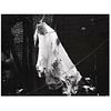 MARIANA YAMPOLSKY, La novia fantasma, 1999, Signed on back Gelatin silver print, USD $1,270-$1,540 13.5 x 18.1"