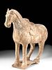 Chinese Tang Dynasty Terracotta Horse