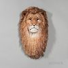 Anne Anderson (Swedish, 20th/21st Century) Fiber Lion Head Sculpture