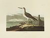 John James Audubon (1785-1851), "Greenshank," No. 54, Plate 269, Amsterdam edition, plastic wrapped, H.- 26 3/8 in., W.- 39 1/2 in.