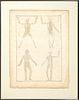 John and Paul Knapton, "Human Musculature," 18th c., engraving, presented in a metal frame, H.- 27 1/2 in., W.- 20 1/4 in.
