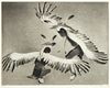 Gene Kloss, Taos Eagle Dancers, 1955
