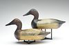 Early rigmate pair of canvasbacks, Bert Graves, Peoria, Illinois, 1st quarter 20th century.
