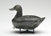 Ruddy duck, Alvirah Wright, Duck, North Carolina, 1st quarter 20th century.