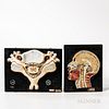 Two Early Hand-painted Plaster Anatomy Cross-sections, both mounted to wooden boards, pelvis with stamp reading "University of Oklahoma