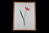 Michaele Vollbracht (1947-2018) Flower Watercolor