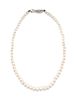 A 14 Karat White Gold and Cultured Pearl Necklace,