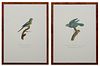 Francois Levaillant (1753-1824), "Female de la Perruche a lache souci," and "La Perruche Edwards," 20th c., pair of colored parrot prints, 67/200, fro
