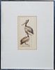 Dell Weller (1927-2017, New Orleans), "Pelicans," 20th c., etching, 13/150, pencil numbered lower left margin, pencil titled lower center margin, penc