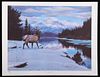 "Swan River Elk" Limited Edition Print By Sprunger