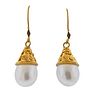 18k Gold South Sea Pearl Earrings 