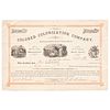 Colored Colonization Company Stock Certificate, 1893