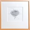SUSAN PETTY, Untitled (Nest), Graphite on paper