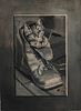 American School, 20th Century  Kitten in a Boot.  Signed "LS" l.r.  Oil on panel, 19 1/4 x 14 1/8 in., unframed.  Conditio...