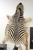African Zebra skin rug, 98" x 62".