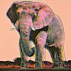 Andy Warhol (American, 1928-1987)      African Elephant
