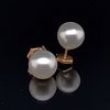 18K South Sea Pearls Stud Earrings