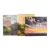 Libros sobre Pintura de Paisaje. American Paradise. The World of the Hudson River School / The Hudson River and Its Painters...Pz: 4.