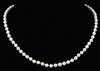 14kt. Pearl Necklace 