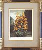 “The Superb Lily.”  - Framed Aquatint