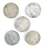 Group of 5 Silver Peace Dollars