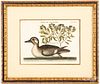 Pair of Mark Catesby duck engravings