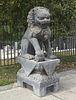 Chinese Metal Fo Lion
