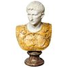A Museum Quality Carrara and Sienna Marble Bust of Julius Augustus Caesar, 1850