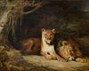 Attributed to Heywood Hardy (British, 1843 - 1933)Two Lions, oil on canvas, unsigned, Sotheby's label verso, 14 1/2" x 17 1/4"