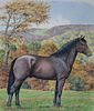 Peter Barrett (B. 1935) "Morgan Horse"