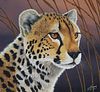 R.G. Finney (B. 1941) "Cheetah"