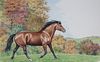 Peter Barrett (B. 1935) "Morgan Horse"