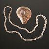 A Mississippian Shell Gorget and Shell Beads, Largest 4-3/4 in.