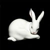 Preening Bunny 01005906 - Lladro Porcelain Figure