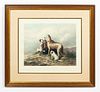 19TH C, SPORTING ART ENGRAVING, "HIGHLAND DOGS"
