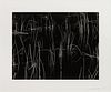 Brett Weston
(American, 1911-1993)
Reeds, Oregon, 1975