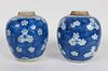 Pair of Kangxi Blue and White Ginger Jars