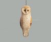 Hanging Barn Owl 