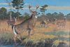 Bob Kuhn (1920-2007) Ten-point Buck with Does