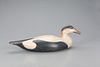 Early Oversized Eider with Mussel in Mouth, Mark S. McNair (b. 1950)