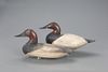 Two Upper Bay Canvasback Drakes