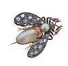 Antique 18k Gold Silver Rose Cut Diamond Pearl Insect Brooch 
