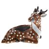 Chinese Export Porcelain Spotted Deer Brush Wash