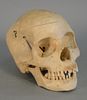 Human Skull with articulating jaw and opening top height 6 inches Provenance: From the Robert Cerciello Collection, West Hartford, Connecticut.