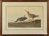 After John James Audubon, hand colored aquatint, titled Red-breasted Snipe, printed 1836