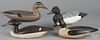 Four contemporary carved and painted duck decoys, to include a merganser, signed Chip Allsopp 1987