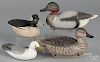 Four contemporary carved and painted duck decoys, to include a seagull, signed Charles Birdsall