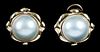 14kt. Mabe Pearl Earclips